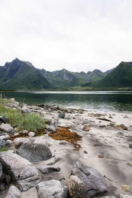 Morfjord