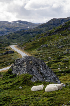 Route 50 entre Hol et Aurlandsfjord