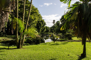 Jardin botanique de Tahiti