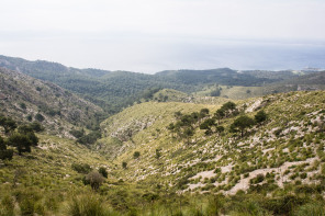 Randonnée de l'Ermita de la Victòria – Talaia d'Alcúdia