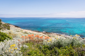 A l'ouest de la cala Mesquida