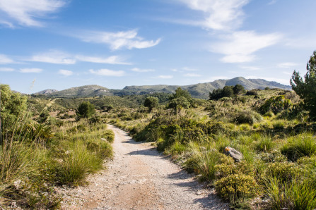 Randonnée de la cala Torta à la plage de Sa Font Celada