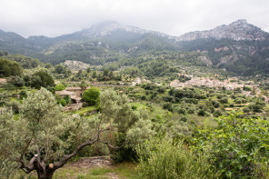 Route des miradors – Près d'Estellencs