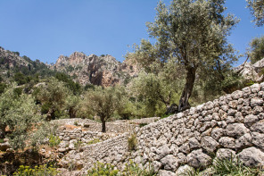 Randonnée du lac de Cúber vers Biniaraix – Gorges de Biniaraix