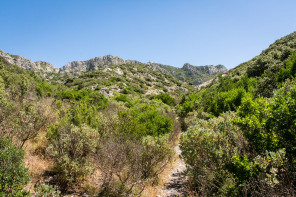 Randonnée de la tour des Opies