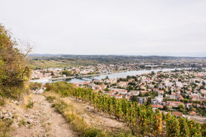 Randonnée des coteaux – Côté Tournon