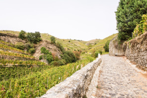 Randonnée des coteaux – Côté l'Hermitage