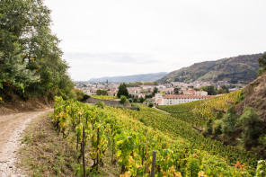 Randonnée des coteaux – Côté l'Hermitage