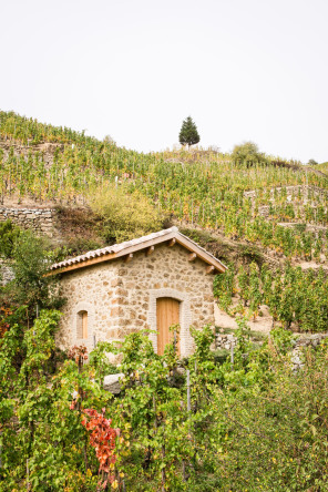 Randonnée des coteaux – Côté l'Hermitage