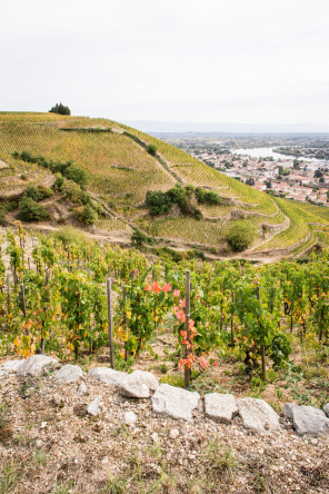 Randonnée des coteaux – Côté l'Hermitage