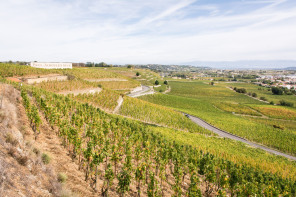 Randonnée des coteaux – Côté l'Hermitage