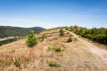 Randonnée du tour de Sardier – Côté monts d'Ardèche