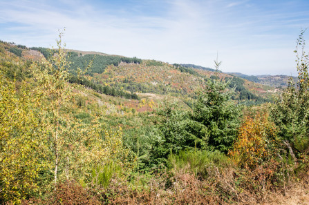 Randonnée du tour de Sardier – Côté Alpes