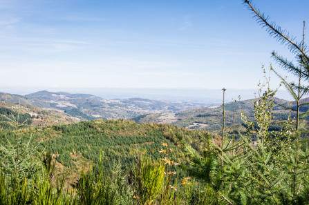 Randonnée du tour de Sardier – Côté Alpes