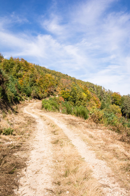 Randonnée du tour de Sardier – Côté Alpes