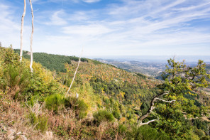 Randonnée du tour de Sardier – Côté Alpes