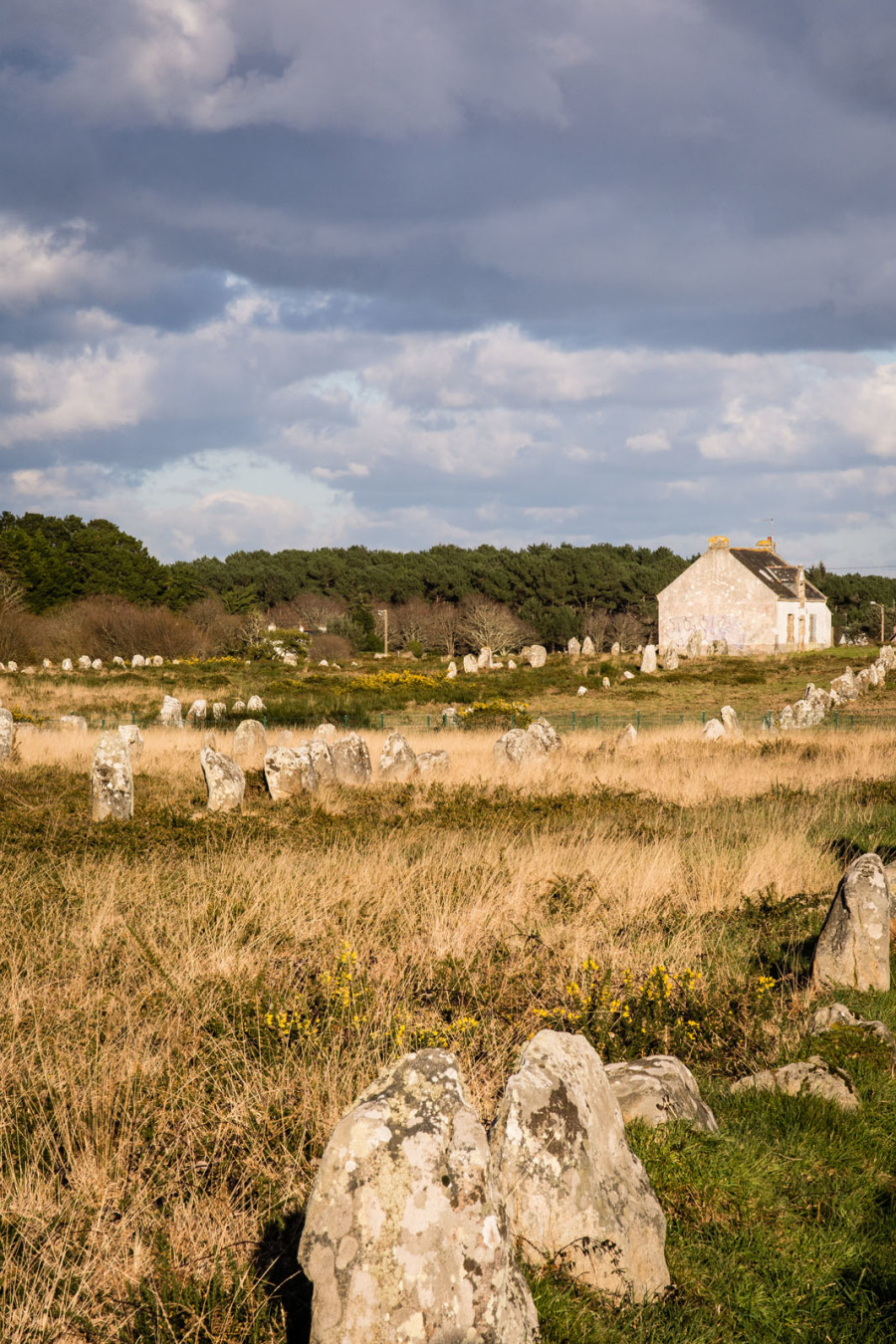 Carnac – Alignements du Ménec