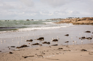 Presqu'île de Quiberon – Pointe du Conguel