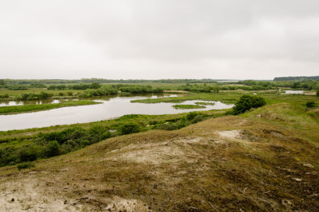 Parc ornithologique du Marquenterre