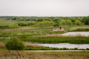 Parc ornithologique du Marquenterre