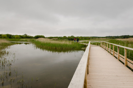 Parc ornithologique du Marquenterre