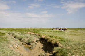 Traversée de la baie