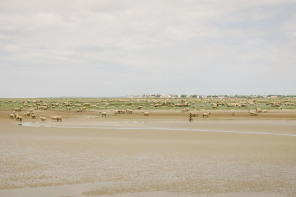 Traversée de la baie