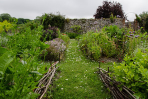 Saint-Valéry-sur-Somme – Herbarium