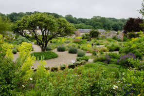 Saint-Valéry-sur-Somme – Herbarium