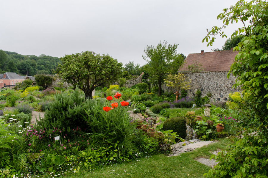 Saint-Valéry-sur-Somme – Herbarium