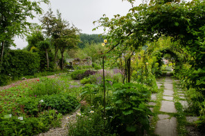 Saint-Valéry-sur-Somme – Herbarium