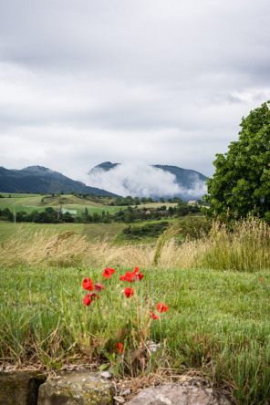 Terre des Baronnies