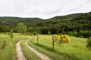 Terre des Baronnies