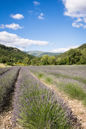 Routes des Baronnies