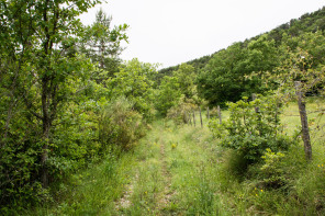 Tour du serre de Bout