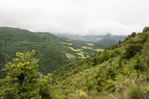 Tour du serre de Bout