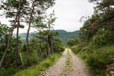 Tour du serre de Bout