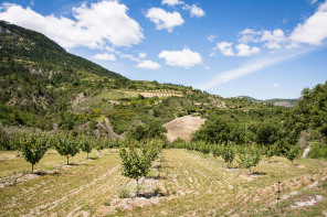 Randonnée du rocher de Bramard