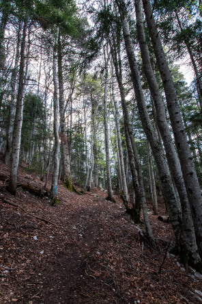 Randonnée de la montagne de Raton