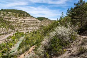 Gorges de la Méouge