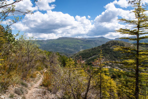 Randonnée dela montagne de Chabre