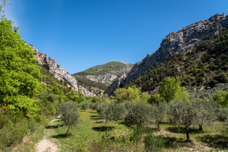 Gorges d'Ubrieux