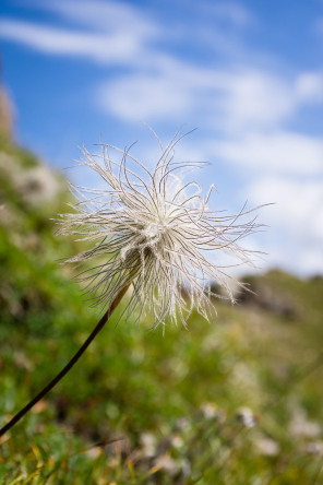 Randonnée du rocher du Vent