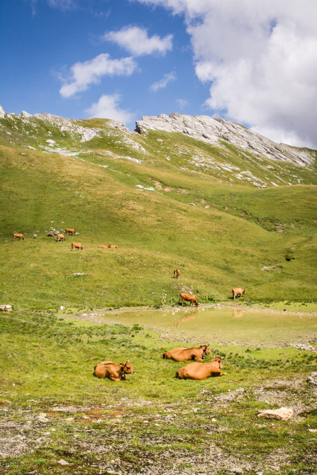 Randonnée du rocher du Vent – Descente dans les alpages