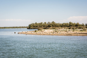 Saintes-Maries-de-la-Mer – Croisière sur le Tiki III