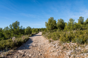 Randonnée des calanques d’En-Vau et Port-Pin