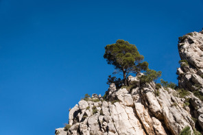 Randonnée des calanques d’En-Vau et Port-Pin