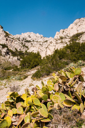 Randonnée de Callelongue à la calanque de Podestat