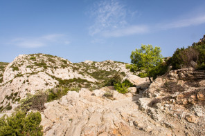 Randonnée des calanques de Sormiou et Morgiou