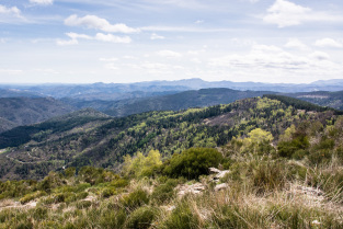 Cévennes